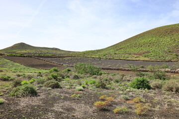Fototapeta na wymiar View on a mountain in the Chinijo Archipelago Natural Park to Fuerteventura