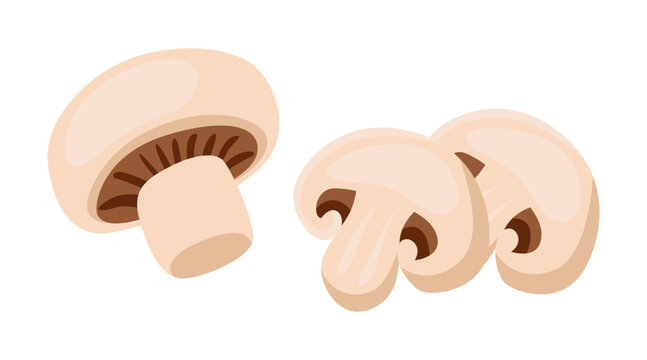 Mushroom cut into parts vector illustrations set. Big mushroom cut into slices on white background..Cooking, cutting, vegetable concept.