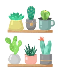 Foto op Plexiglas Cactus in pot Potted succulent plants vector illustrations set. Pastel-coloured succulents and cacti in pots standing on shelves on white background. Potted Plant, succulent, interior concept