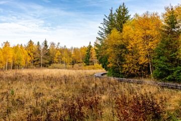 Fototapeta premium Herbstliche Erkundungstour durch die Rhön in der Nähe des Schwarzen Moors - Fladungen - Bayern