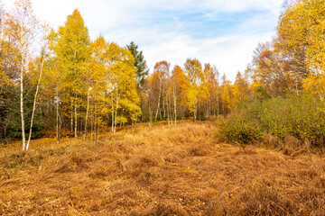 Herbstliche Erkundungstour durch die Rhön in der Nähe des Schwarzen Moors - Fladungen - Bayern