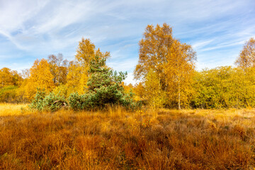 Herbstliche Erkundungstour durch die Rhön in der Nähe des Schwarzen Moors - Fladungen - Bayern