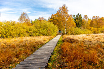 Fototapeta na wymiar Herbstliche Erkundungstour durch die Rhön in der Nähe des Schwarzen Moors - Fladungen - Bayern