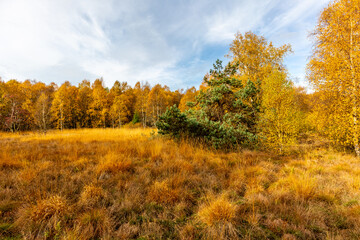 Fototapeta premium Herbstliche Erkundungstour durch die Rhön in der Nähe des Schwarzen Moors - Fladungen - Bayern