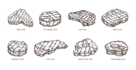 Sketch steak. Hand drawn beef food, engraving bbq meat strip, club and ribeye steaks vector set