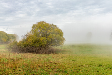 Fototapeta premium Herbstliche Erkundungstour durch die Rhön in der Nähe des Schwarzen Moors - Fladungen - Bayern
