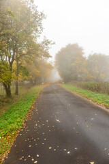 Herbstliche Erkundungstour durch die Rhön in der Nähe des Schwarzen Moors - Fladungen - Bayern