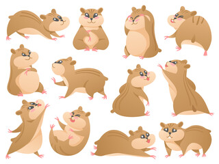 Fototapeta premium Cartoon hamsters. Cute pet in different poses, fluffy rodent and hamster mascot isolated vector Illustration set