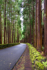 Ilha Terceira, Açores