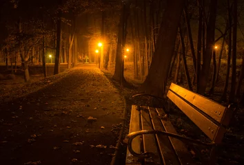 Fotobehang Chocoladebruin Park at night. Bench in a park illuminated by streetlamps. Winter foggy evening after first frost with autumn leaves.  © Poliuszko