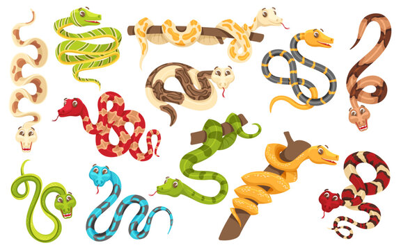 Cartoon snakes in various poses. Anaconda mascot, cute snake and funny tropical reptile vector characters set