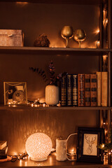 Dark brown interior in the living room. Bookshelf