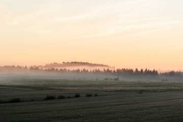 sunrise over the fields