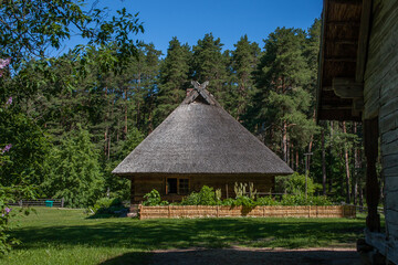 old wooden house with a thatched roof and a wooden fence around it in a green meadow in a pine forest under a blue sky.