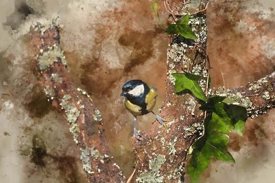 Digital watercolor painting of Lovely Spring landscape image of Great Tit bird Parus Major in forest setting with colorful vibrant colors