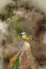 Digital watercolor painting of Lovely Spring landscape image of Great Tit bird Parus Major in forest setting with colorful vibrant colors