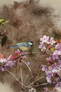 Digital watercolor painting of Lovely Spring landscape image of Great Tit bird Parus Major on pink blossom tree in forest setting with colorful vibrant colors