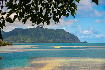 Stunning landscape views for tourism, travel use on Oa'hu in Hawaii during spring time with kayakers in the ocean. 