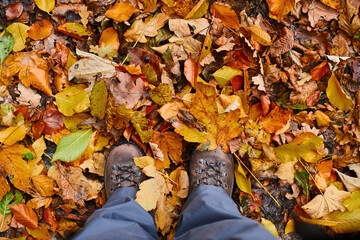 Top view of boots in the golden autumn leafs,natural background.