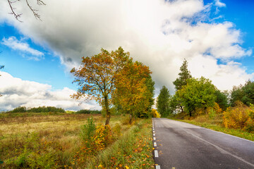 Fototapeta premium Landscape autumn road with colourful trees, autumn Poland, Europe and amazing blue sky with clouds, sunny day