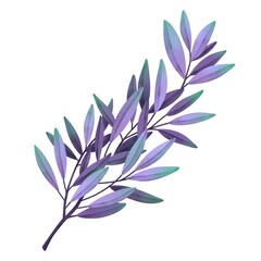 Watercolor leaf branches. Hand drawn watercolor illustration