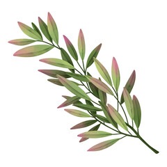 Watercolor leaf branches. Hand drawn watercolor illustration