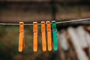 Multi-colored clothespins on a clothesline. Wet clothespins close-up