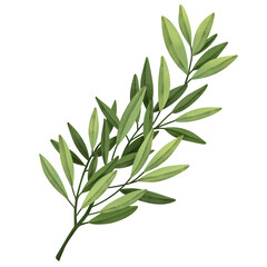 Watercolor leaf branches. Hand drawn watercolor illustration