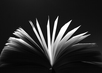 Open Book in Black and White