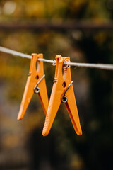 Multi-colored clothespins on a clothesline. Wet clothespins close-up