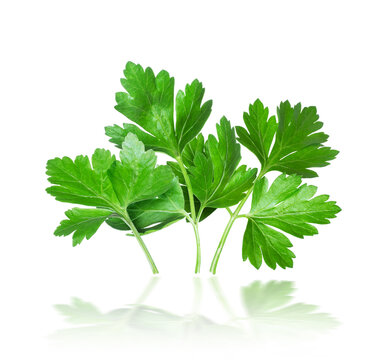 Fresh parsley petals closeup isolated on white background
