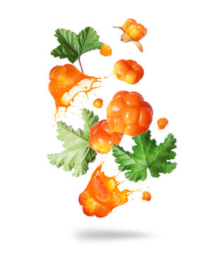 Whole and sliced cloudberry with juice splashes in the air isolated on a white background