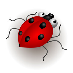 Funny cartoon ladybug, with red wings and crazy eyes, one of a kind of insects