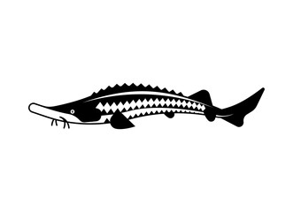 Sturgeon isolated icon. Fish sign. Vector illustration