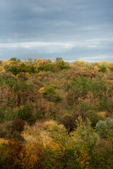 Fototapeta premium elegant wedding decorations made of natural flowers