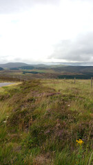 Heide-Landschaft in Schottland mit Blick auf den Caingorms-Nationalpark