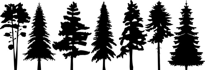 spruce silhouette, pine trees set design vector isolated