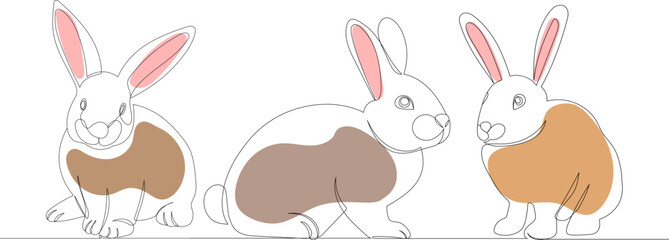 rabbits,hare continuous line drawing, vector sketch
