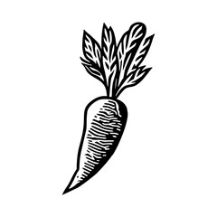 Carrot vector icon. Isolated on white, label, logo - obrazy, fototapety, plakaty
