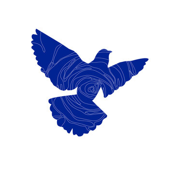 Blue dove with rose petals line art texture on white background.