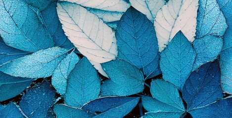 Blue and green frozen leaves textured wallpaper,  Generative AI	