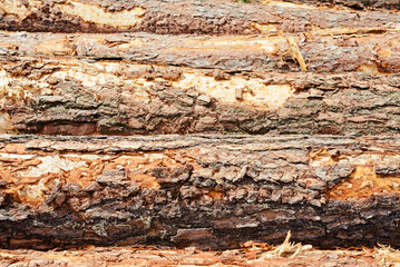 Natural wooden background. closeup of chopped firewood. Pile of wood logs