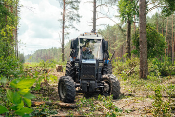 Obraz premium Sanitary cleaning of the forest. Tractor working in a forest. forestry