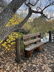 wooden bench under a tree with fallen leaves. Late autumn in the park