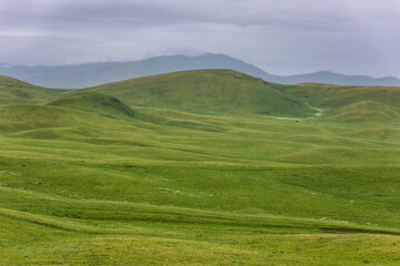 Fototapeta premium landscape with green grass and sky