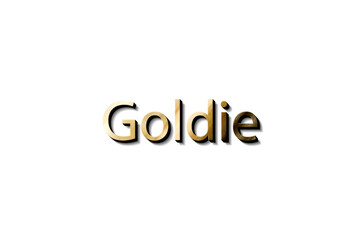 GOLDIE 3D NAME 