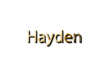 HAYDEN NAME 3D 