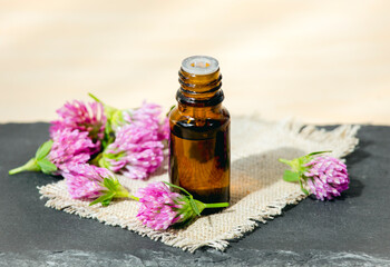 Selective focus on Trifolium pratense the red clover brown glass tincture bottle with picked blossoms for decoration studio shot. Copy space.