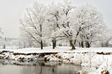 Natural winter landscape