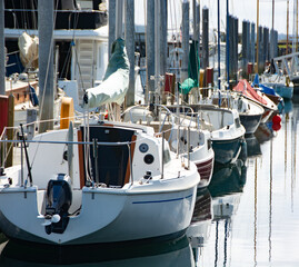 Sailboats lined up along dock in Marina in Bellingham, Wshington